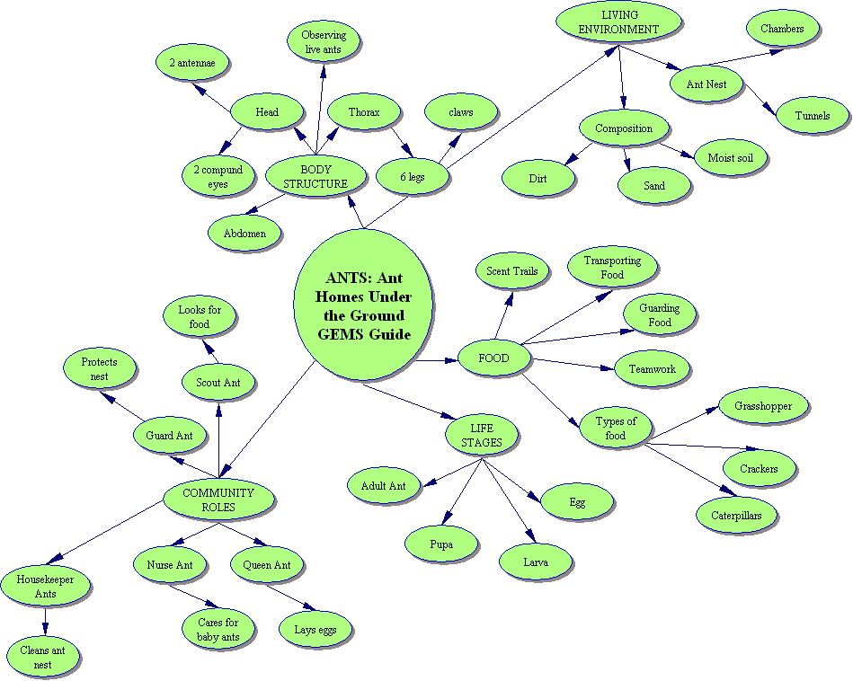 concept map