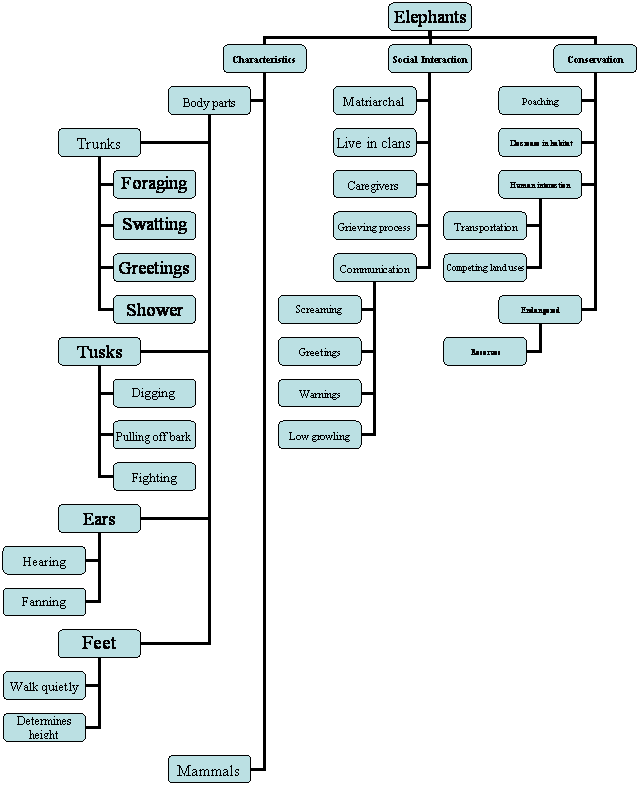 Organization Chart