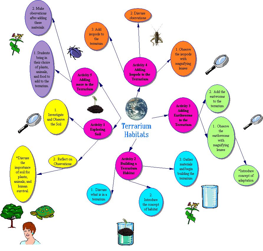 concept map