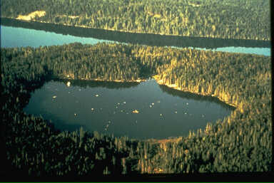 Lake 227 in 1975