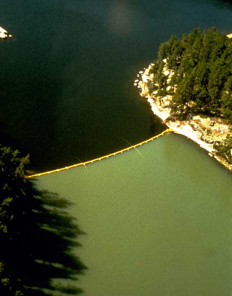 Loading Picture of Eutrophic Lake